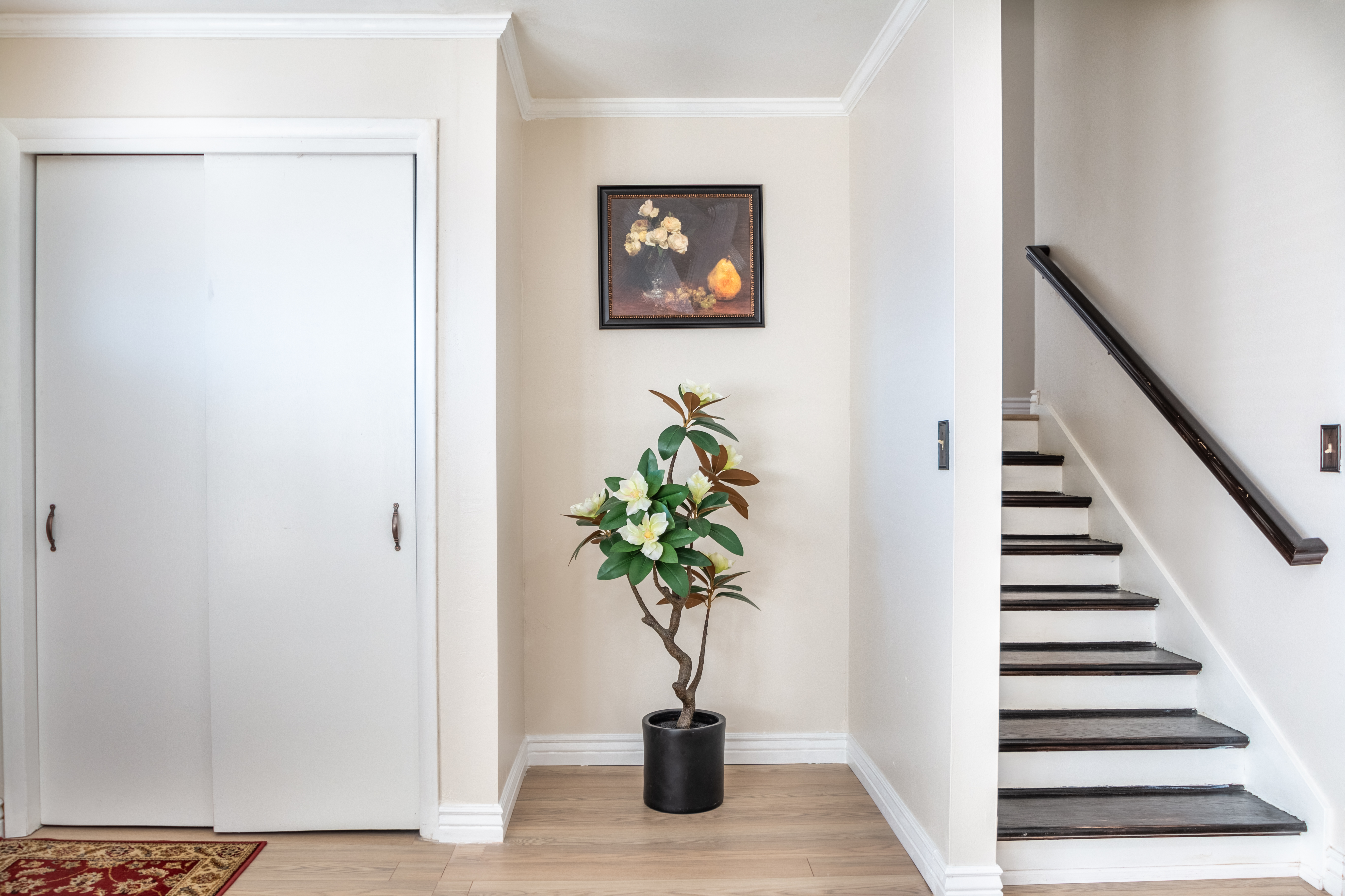 Real Estate Image 8
